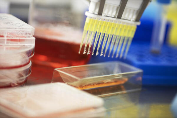 Scenic Biotech lab disposables