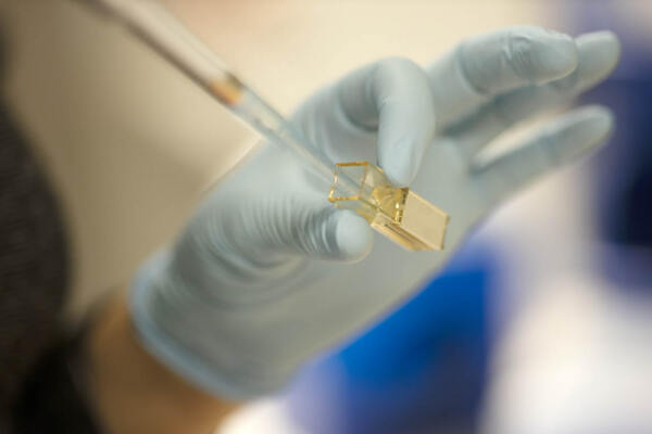 Close up lab Scenic Biothech at Amsterdam Science Park